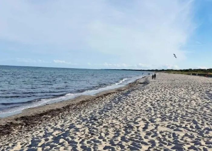 Hals Apartment 100M From Beach Apartamento *