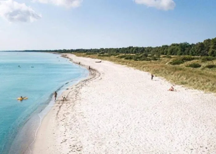 Hals Apartment 100M From Beach *